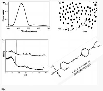 ����̿ȥ���׻���