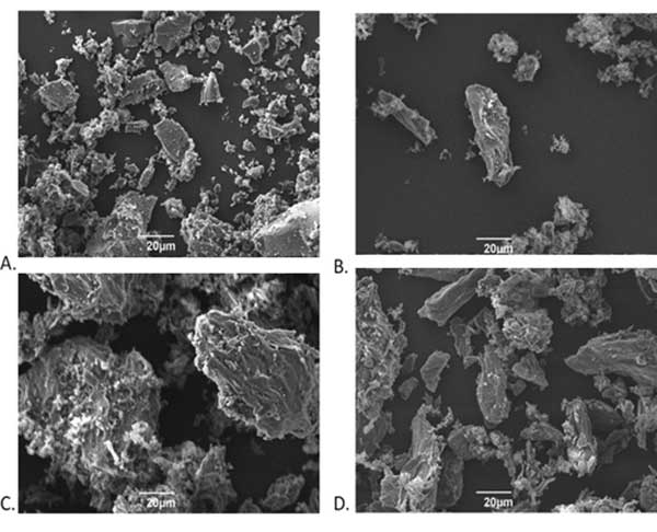 ����̿750�Ŵ󱶔���SEM�D��