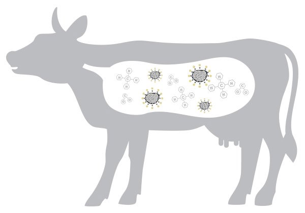 ����̿���Ʋ����������ϵ�y(t��ng)